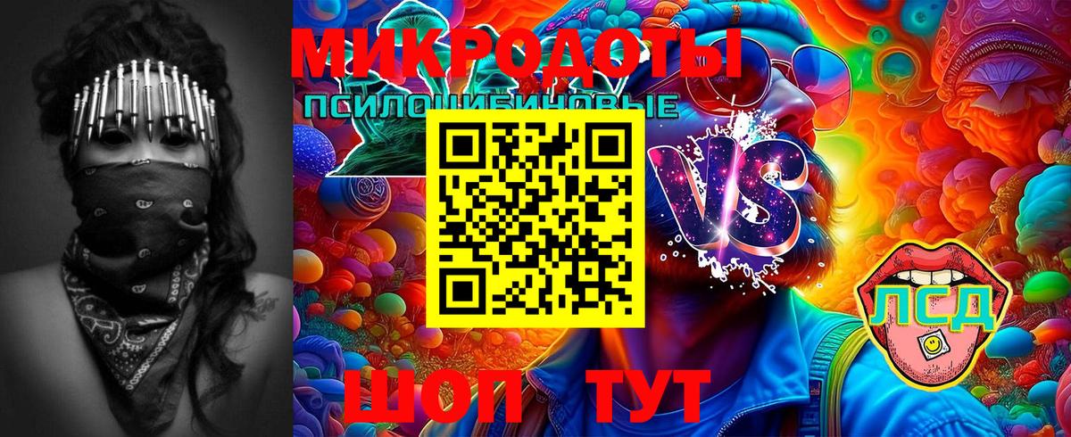 Псилоцибиновые грибы GOLDEN TEACHER  Псилоцибиновые грибы Magic Shrooms  магазин продажи наркотиков  Вход с VPN  Артём 