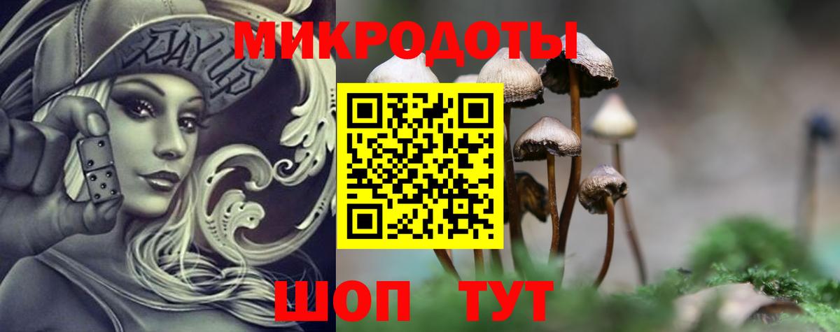 Псилоцибиновые грибы Psilocybine cubensis Артём
